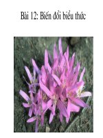 bai toan doi tuyen 5