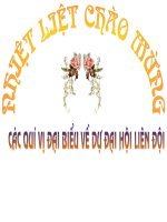 dai hoi Lien doi nam hoc 2007-2008