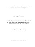 Nghiên cứu đặc điểm hấp thụ, giải phóng lân và sử dụng silicate để nâng cao hàm lượng lân hữu dụng trong đất lúa Nam Việt Nam