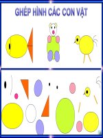 be voi the gioi xung quanh