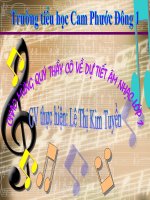 Bài đường và chân