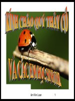 Sự sinh trưởng và phát triển ở động vật