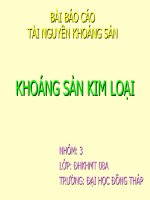 KHOÁNG SẢN: KẼM, NIKEN, ĐỒNG, CHÌ