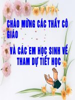 de bai van nghi luan