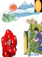 Khúc hát ru những em bé lon trên lưng me