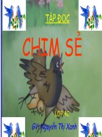 TĐ4- chim sẻ (tuần 27)