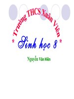 bai2 vệ sinh hô hấp
