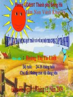 KPKH con mèo con chó