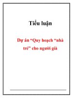 Tiểu luận dự án quy hoạch “nhà trẻ” cho người già