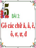 Gõ các chữ â, ă, ê, ô, ơ, ư, đ