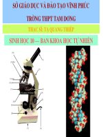 bài 1 các cấp của thế giới song