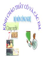 bai 34. Nhân giống vật nuôi