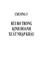 bài giảng quản trị rủi ro ts. huỳnh minh triết