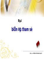 Bài 17.2 biến Tham số