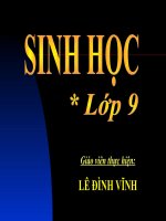 bài 55: Ô NHIỄM MÔI TRƯỜNG