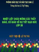 ton trong thu tu, tai san cua nguoi khac ( t1)