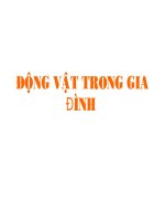 Hình động vật trong gia đình