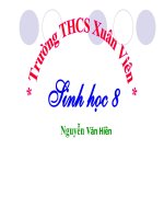 Bài 22: Vẹ sinh hô hấp