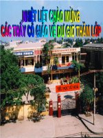 LT&C : Nhan hoa, on tap cach dat cau hoi ...