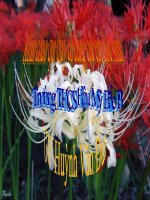 bai 47 sự tạo ảnh tren