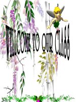 unit 13- Language focus( Av 8)