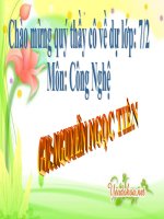 Chăm sóc vật nuôi