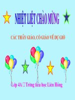 PHÒNG MỘT SỐ BỆNH. . .(Nguyễn Viết Hiện)