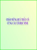 Bài 2: Liên hệ giữa thứ tự và phép nhân