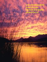 HÃY BIẾT SỐNG VÀ THƯỞNG THỨC CÁI ĐẸP