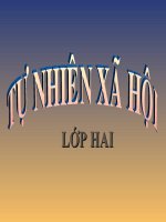 T27B27.MOT SO LOAI VAT SONG TREN CAN