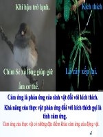 bài 23 Hướng động