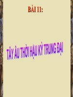 Tây Âu hậu kì trung đại