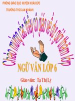 CAU TRẦN THUẬT ĐƠN