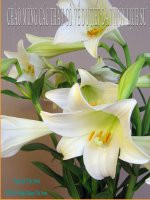 Tiet 47 su suy yeu cua nha nuoc PK tap quyen - Sinh - Dinh Bang