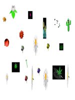 ẢNh động về chủ đề hoa lá