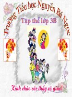 Dấu hỏi - dấu ngã