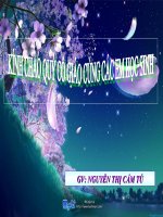 Tap doc. TRANH LANG HO