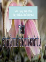 Câu trân thuật không có hệ từ là