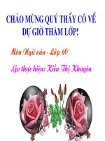tiet 110: Cau tran thuat don