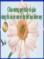 BÀI GIẢNG AN TOÀN GIAO THÔNG
