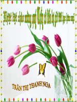 Bài 13: Máy cơ đơn giản(thi GVG)