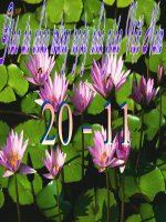 vong tuan hoanh cua nuoc