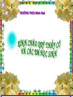 chất dẫn diện và chất cách diện