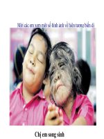 MOT SO HINH ANH CHO CHUONG BIEN DI