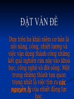 CÁC NGUYÊN LI NDLH