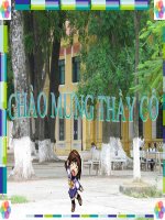 Ôn tập chương: Tam giác đồng dạng