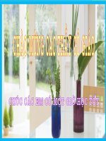 BAI 26- MT PHUC HUNG