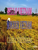 Hello Vietnam