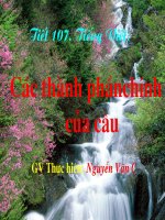 thanh phan chinh cua cau