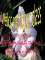 unit 10 lop8 lesson 1